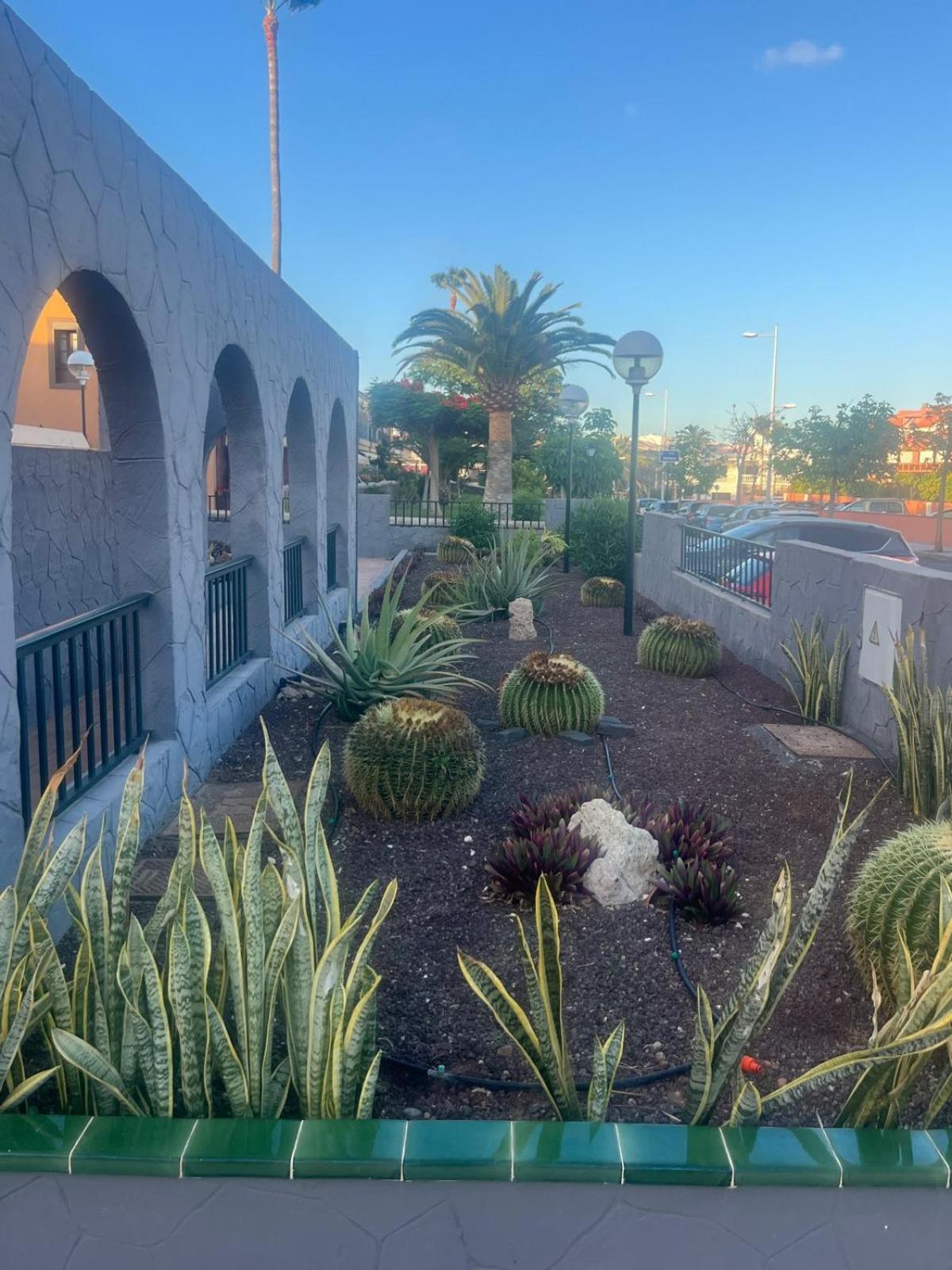 Casa Montana Amarilla 60 Lejlighed Costa del Silencio Eksteriør billede