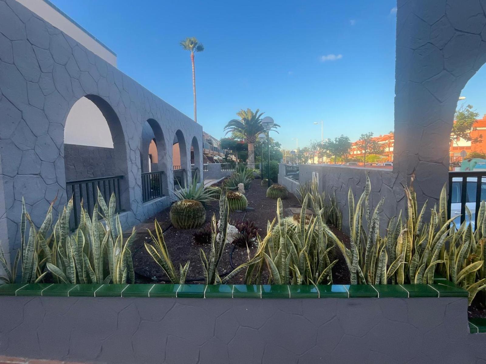 Casa Montana Amarilla 60 Lejlighed Costa del Silencio Eksteriør billede