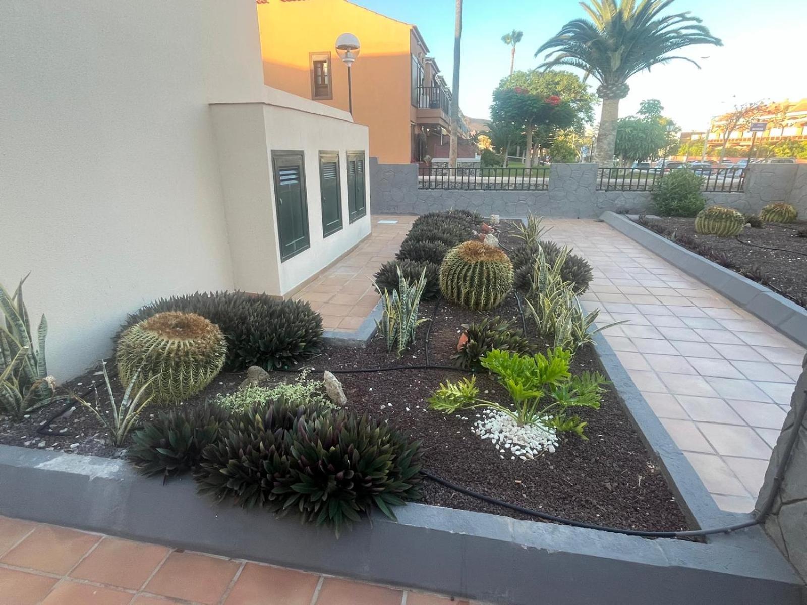 Casa Montana Amarilla 60 Lejlighed Costa del Silencio Eksteriør billede